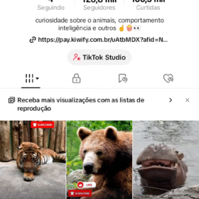 Conta tiktok 125.2K Seguidores 166,5K Curtidas