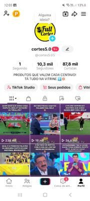 Vendo conta Tiktok com +10k de seguidores monetizada com bom engajamento