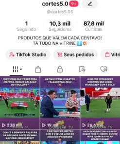 Vendo conta Tiktok com +10k de seguidores monetizada com bom engajamento