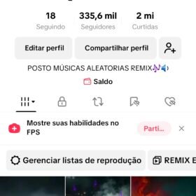 Conta Tiktok Monetizada com 335 mil Seguidores e 2 milhões Curtidas