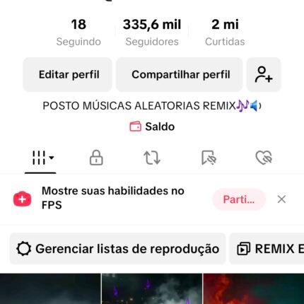 Conta Tiktok Monetizada com 335 mil Seguidores e 2 milhões Curtidas