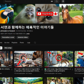 Canal Dark Monetizado Alto CPM 21,9 mil inscritos