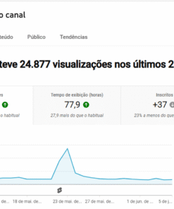 Canal no Youtube com 8700 Inscritos - nicho motivação