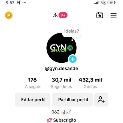 Conta TikTok com 30 mil seguidores