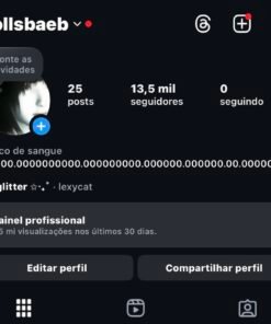 perfil Instagram 13K SEGUIDORES REAIS com PARCERIAS e PRESENTES nos vídeos