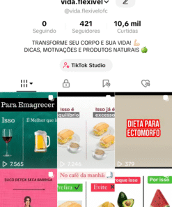 Tiktok com 489 Seguidores