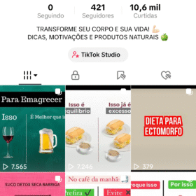 Tiktok com 489 Seguidores