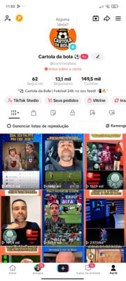 Conta do Tik Tok com 13 mil seguidores