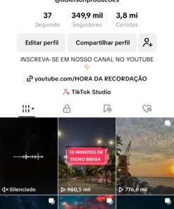 PERFIL TIK TOK 349k de seguidores