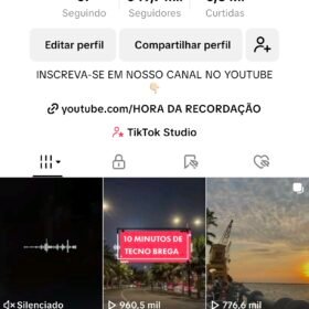 PERFIL TIK TOK 349k de seguidores