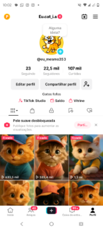 Conta Tik Tok monetizada 22,5k