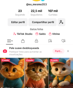 Conta Tik Tok monetizada 22,5k