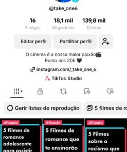CONTA DO TIKTOK  18,1 mil Seguidores