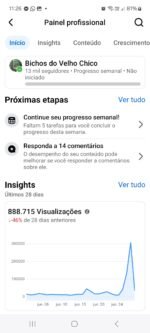 Tiktok 217,3 mil Seguidores - Imagem 4