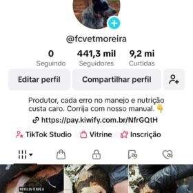 Tiktok Vetmoreira 441,3 mil Seguidores