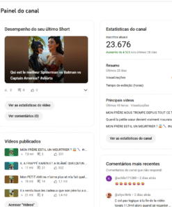 Canal francês, 24 mil inscritos - 4 MILHÕES DE VIEWS - QUASE MONETIZADO