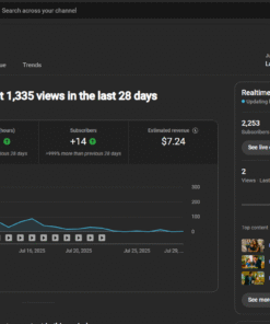 CANAL MONETIZADO EM POLONES COM RPM DE + DE $5 DÓLARS 2,2 mil inscritos