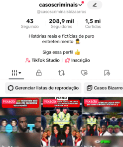 Tik tok 208,9 mil Seguidores