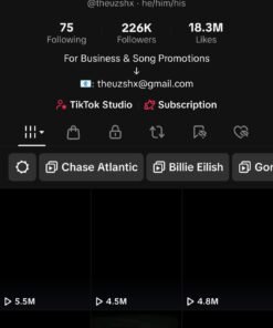Conta monetizada de 225K de inscritos no TikTok!