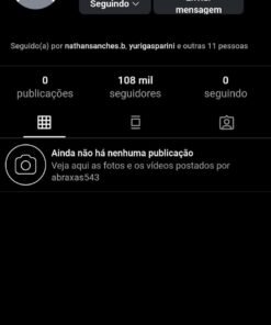 conta no instagram seguidores sem queda