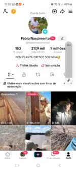 Tiktok 217,3 mil Seguidores - Imagem 5