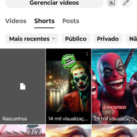 Canal Mundo Aranha 33.300 inscritos