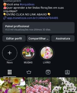 Instagram de Orquídeas 150 mil seguidores