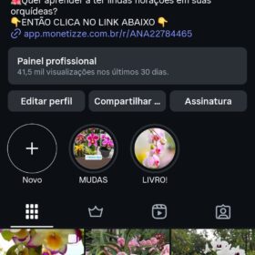 Instagram de Orquídeas 150 mil seguidores