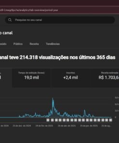 Canal no YouTube com 214 MIL views/ano, 2.400 inscritos e monetizado – PRONTO para escalar!