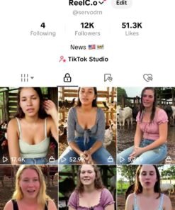 Vendo conta TikTok EUA | Monetizada Já Documentada | Só pegar e fazer dinheiro 12 mil Seguidores