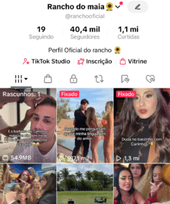 CONTA TIKTOK 40K DE SEGUIDORES ATUALMENTE, PERFIL SUPER ENGAJADO PRONTO PARA MONETIZAR, É SÓ POSTAR CONTEÚDOS ORIGINAIS