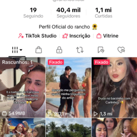 CONTA TIKTOK 40K DE SEGUIDORES ATUALMENTE, PERFIL SUPER ENGAJADO PRONTO PARA MONETIZAR, É SÓ POSTAR CONTEÚDOS ORIGINAIS
