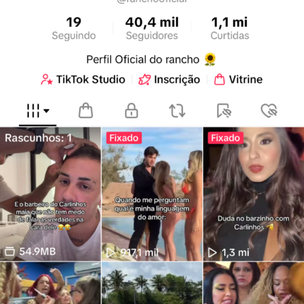 CONTA TIKTOK 40K DE SEGUIDORES ATUALMENTE, PERFIL SUPER ENGAJADO PRONTO PARA MONETIZAR, É SÓ POSTAR CONTEÚDOS ORIGINAIS