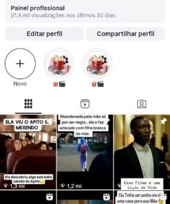 Instagram  17.400 seguidores seguidores reais