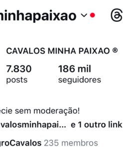Conta instagram CAVALOSMINHAPAIXAO - nicho cavalos/fazenda/country 186 mil seguidores