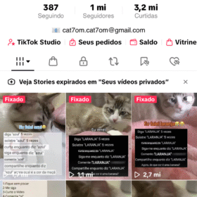 TIKTOK com 1 Milhão de Seguidores com ótimo engajamento