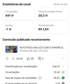 Canal do Flamengo monetizado 2,32 mil inscritos