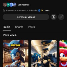 Canal YouTube 12,1 mil inscritos