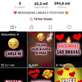 Perfil tiktok monetizado 62,4 mil Seguidores