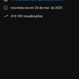 Canal Clubeanimalofc 2,32 mil inscritos