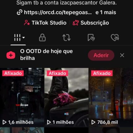 TIkToK com 457k Seguidores reais
