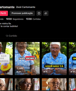 Tiktok Cartomante BR 1k de Seguidores R$ 200,00