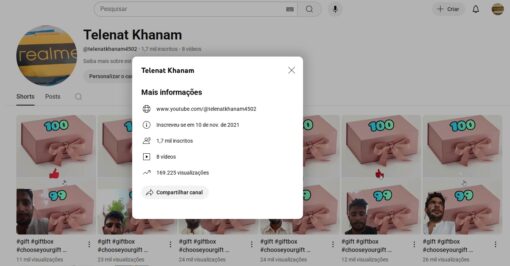 Canal com mais de 1.700 Inscritos – Público Gringo e Conta Antiga - Imagem 2