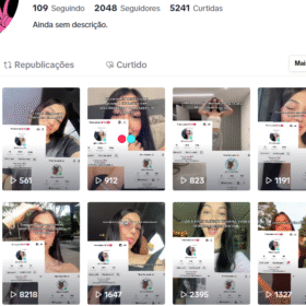 Conta TikTok Shop Br com 2048 Seguidores