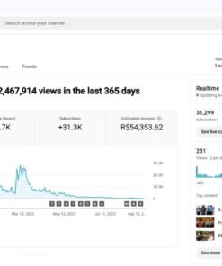CANAL MONETIZADO DE 30 MIL INSCRITOS - IDIOMA FRANCÊS - RPM ENTRE R$ 25 E R$ 40