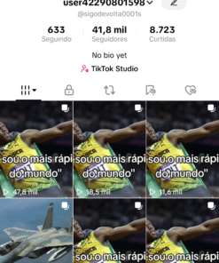 Conta do Tiktok com 41,8 mil Seguidores