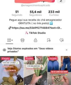 Perfil de tik tok a venda 56 mil Seguidores