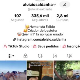 Conta TikTok com 335k e 2.8milhoes de likes