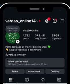 PÁGINA INSTAGRAM DO PALMEIRAS 37k