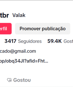Conta tiktok seguidores organicos criada a menos de 30 dias  3417 Seguidores